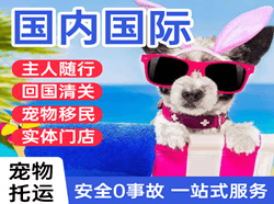 莎车叶尔羌航空运输国际宠物托运 【国